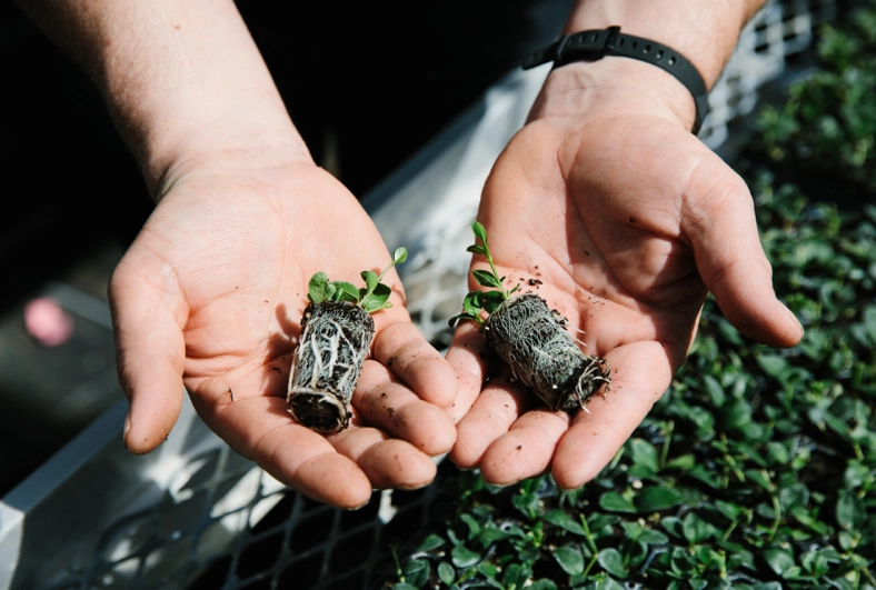 Perennial Possibility is Coming to Cultivate