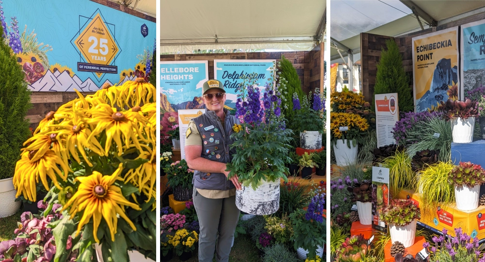 PPL-cast2024-slider-3