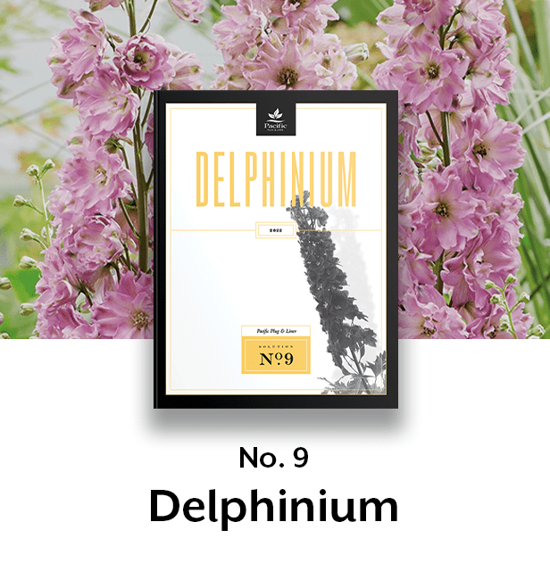 Delphinium thumb