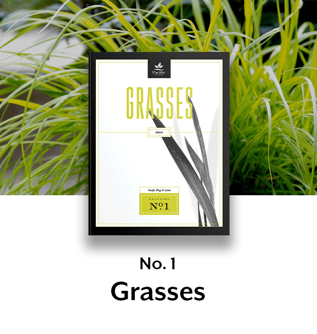 Grasses thumbnail