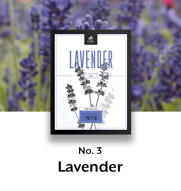Lavender thumbnail